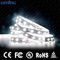 5MMの幅PCB 24V LEDの滑走路端燈5050 RGBのプログラム可能な色保証3年の