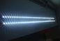 極度の明るさ白いSMD 3528 LEDの滑走路端燈DC12V/24V 5メートル ロール60 LEDs/Mの