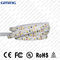 SMD 5050/3528の24V LEDの滑走路端燈はM力のRGB 5mのリボン9.6を防水します