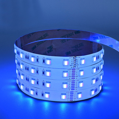 RGBW LEDの滑走路端燈5050の防水多場面は48LEDsネオン ライトのストリップを使用する