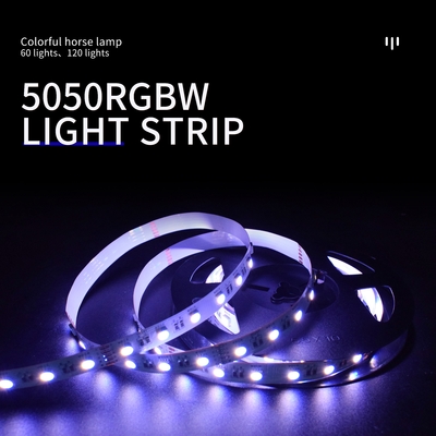 7 1つの低電圧ランプに付き色SMD5050 LEDのネオン ライト4つ